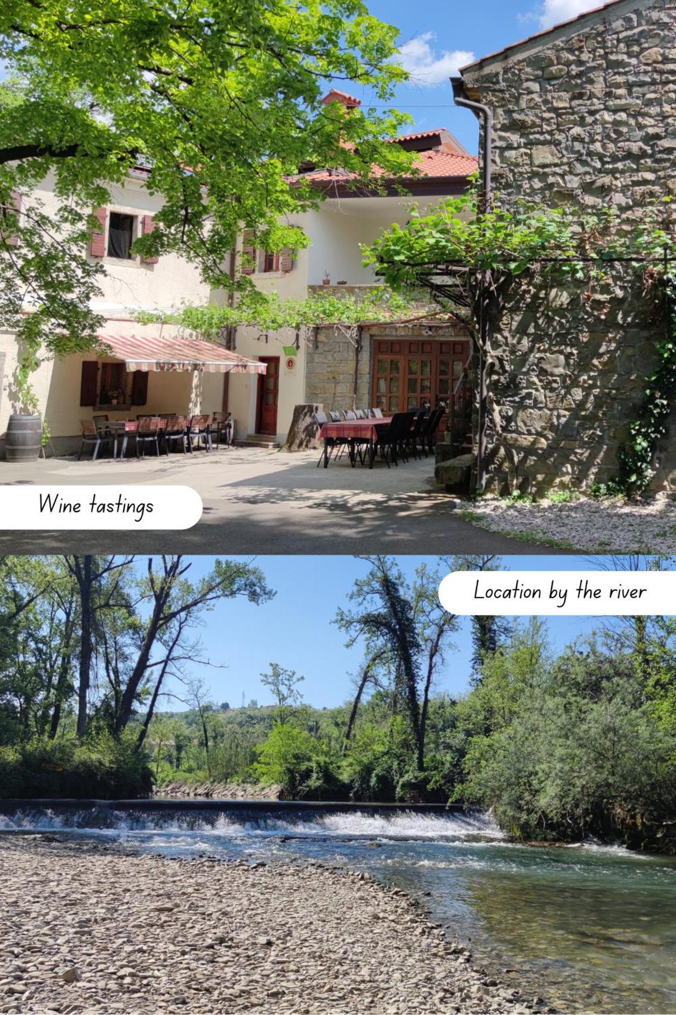 Bordon Wines, Estate With Accommodation Dekani Buitenkant foto