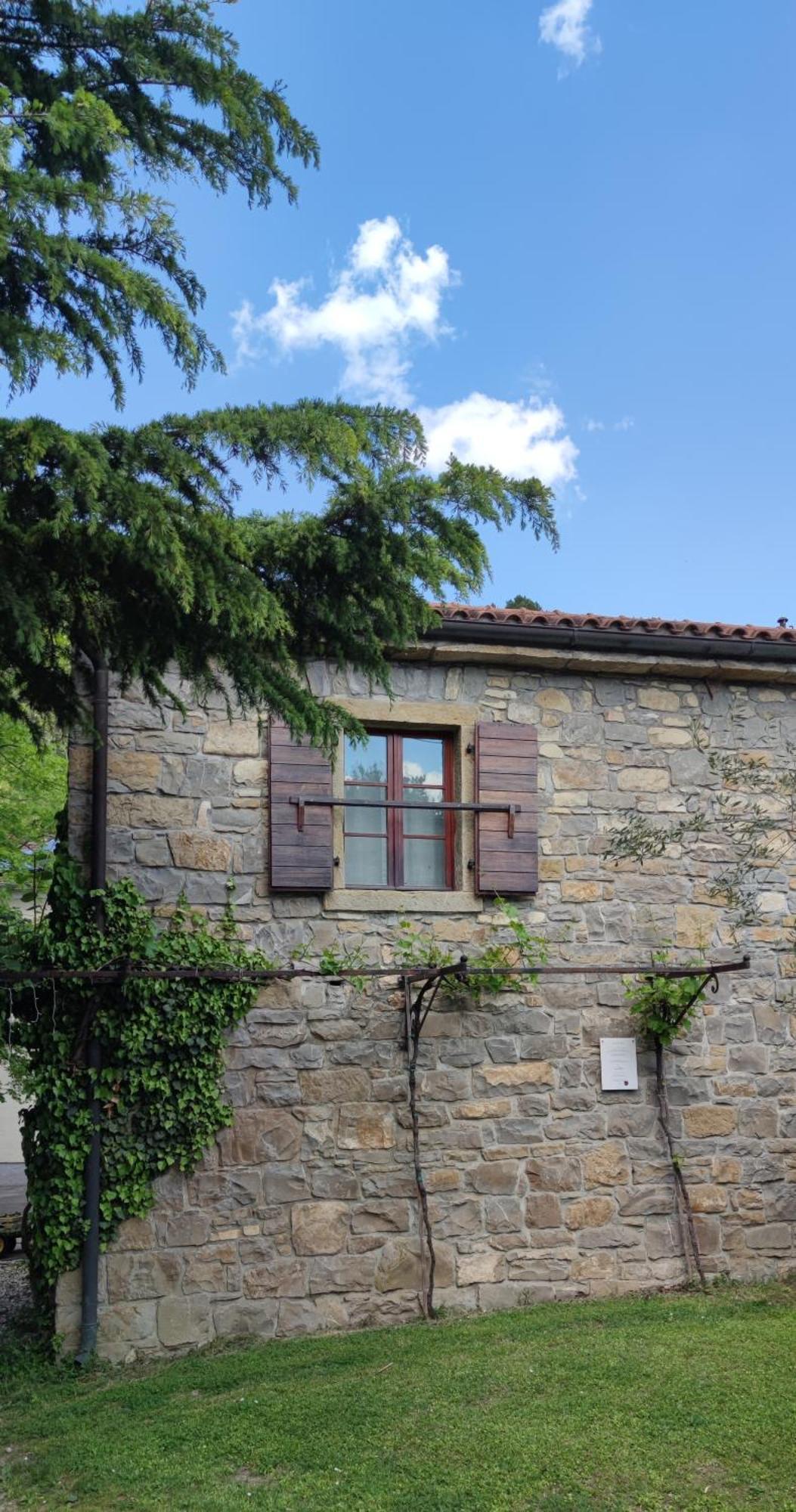 Bordon Wines, Estate With Accommodation Dekani Buitenkant foto