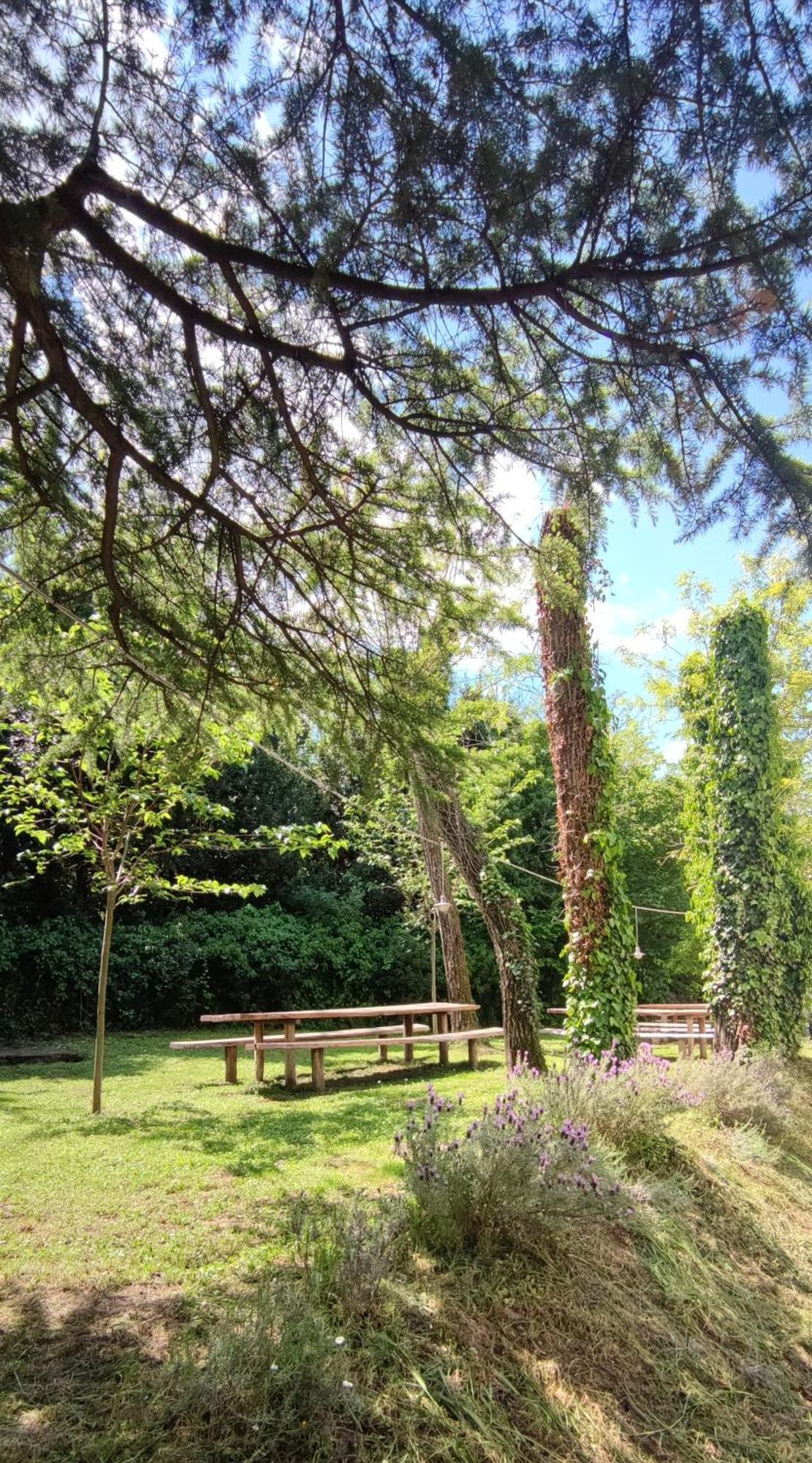 Bordon Wines, Estate With Accommodation Dekani Buitenkant foto